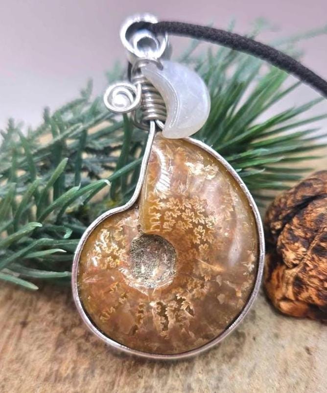 Nature Flashy Ammonite Moonstone Moon Wire Wrapped Pendant Necklace