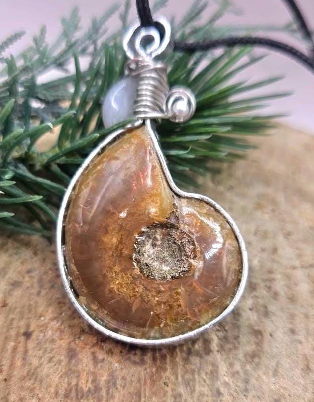 Nature Flashy Ammonite Moonstone Moon Wire Wrapped Pendant Necklace