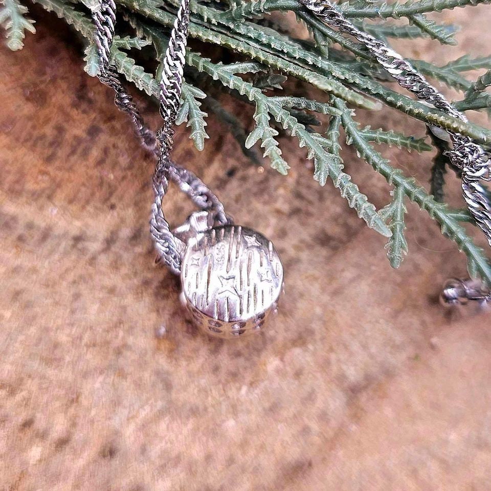 Genuine Nature Meteorite Blessing Coin Bag 925 Pendant Necklace