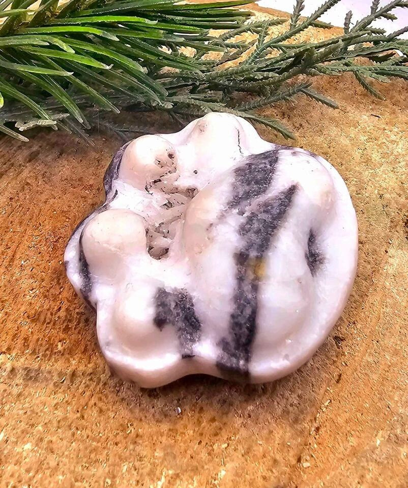 Unique Nature Zebra Stone Druzy Hand Carved Big Paw Decor Palm Stone