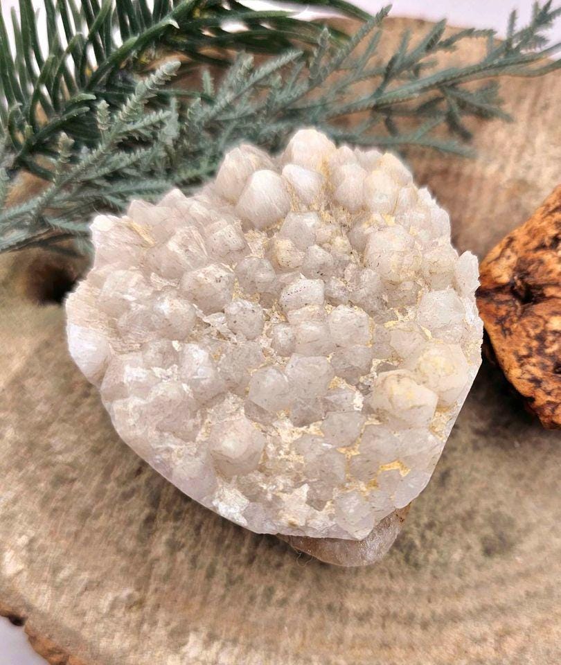 Adorable Crystal Cluster Hand Carved Cute Hedgehog Figure