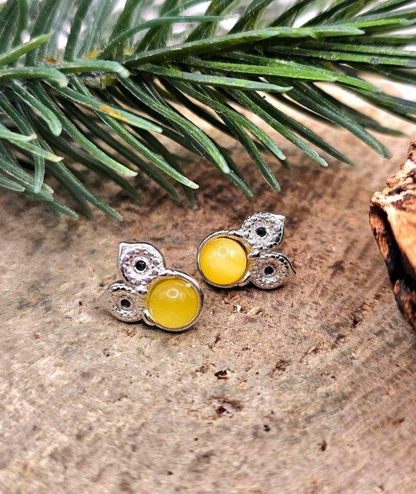 Collection Of Beautiful Nature Stone 925 Earstud