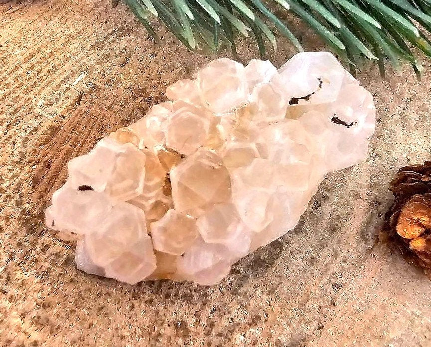 Cute Nature Cluster Hand Carved 2.3" Hedgehog Figure