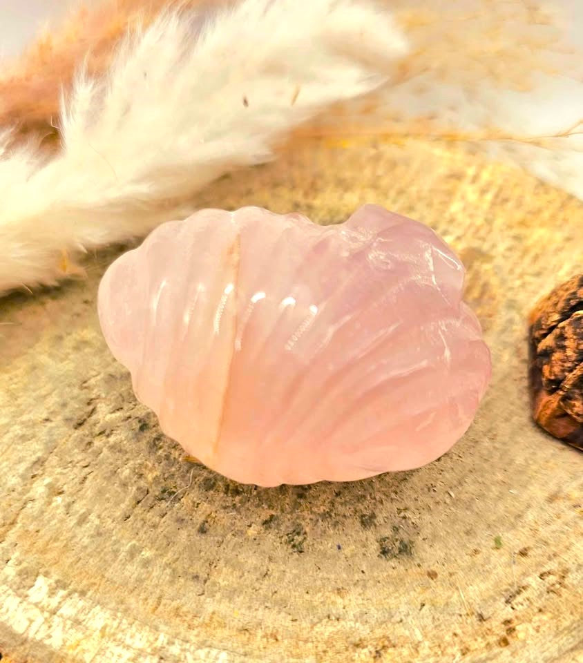 Natural rose quartz hand-carved 2 inch big sea shell crystal decor figure — My Aura Gemstones