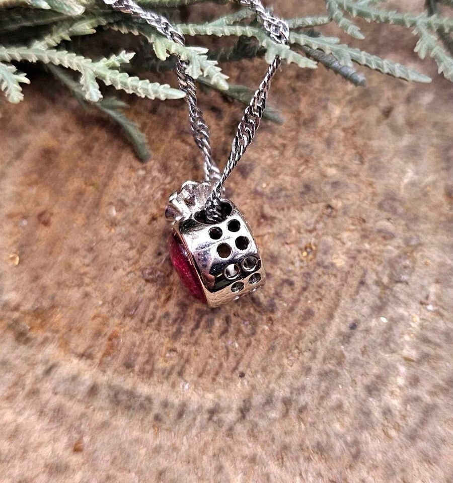 Genuine Nature Meteorite Blessing Coin Bag 925 Pendant Necklace