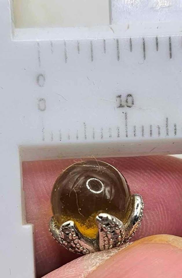 Genuine Mexico Blue Amber Sterling Silver Parrot Open Ring
