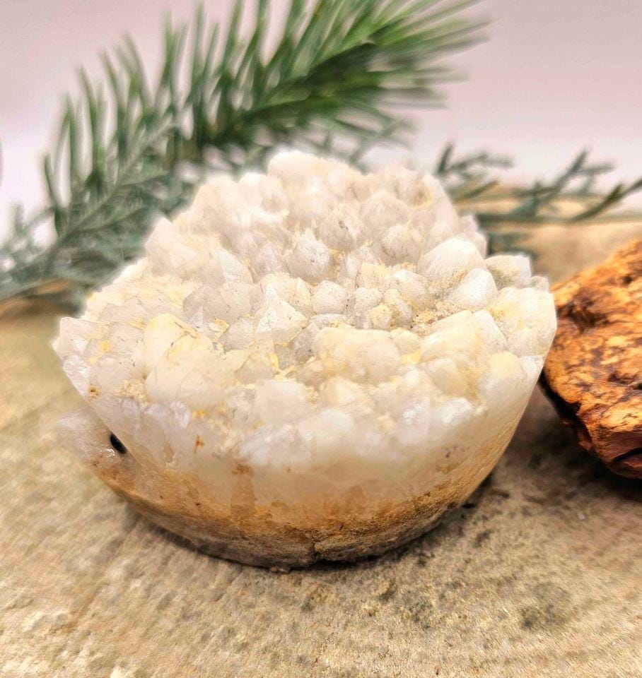 Adorable Crystal Cluster Hand Carved Cute Hedgehog Figure