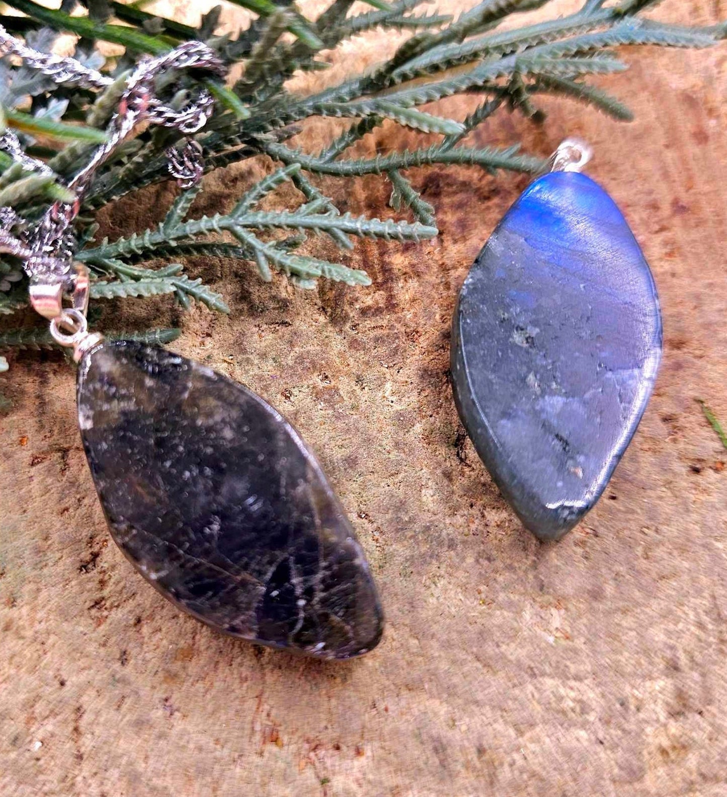 Nature Labradorite Carved Flashy Origin Of Life Pendant Necklace