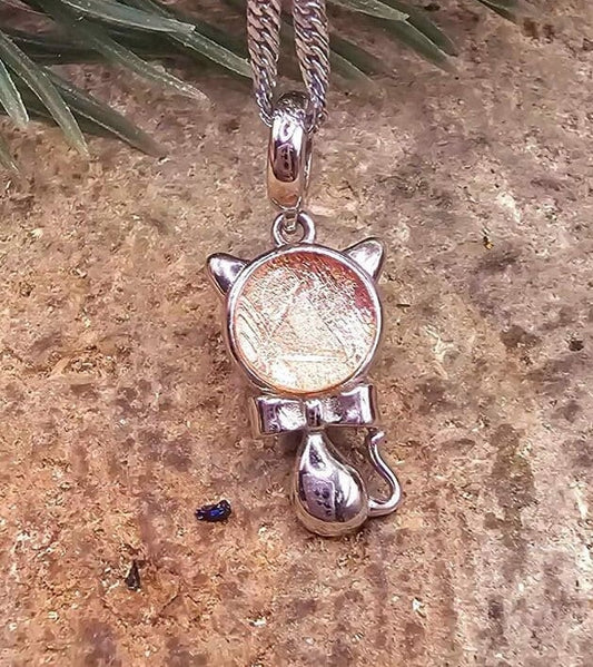 Genuine Nature Rose Gold Gibeon Meteorite Cute Cat S925 Silver Pendant Necklace