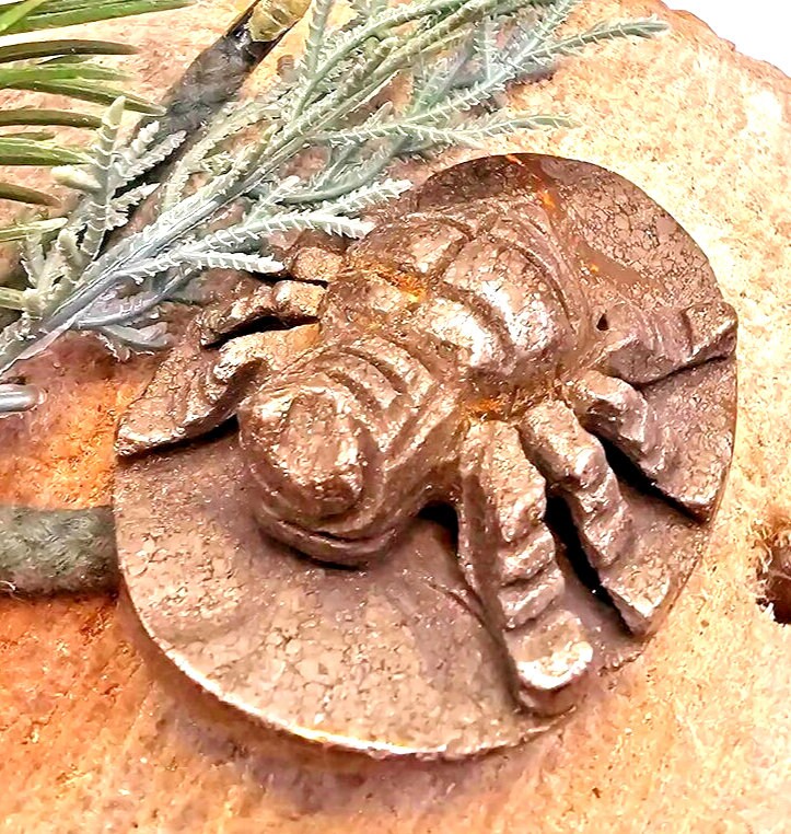 Unique Nature Gold Pyrite Hand Carved Spider Plaque Decor