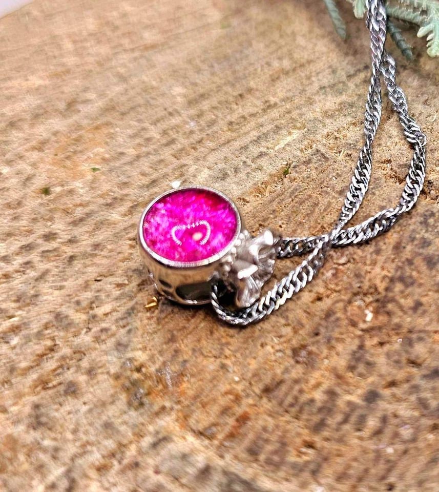 Genuine Nature Meteorite Blessing Coin Bag 925 Pendant Necklace