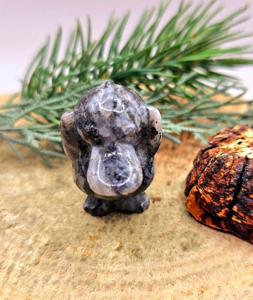Nature Larvikite Hand Carved Flashy Cute Psyduck Figure
