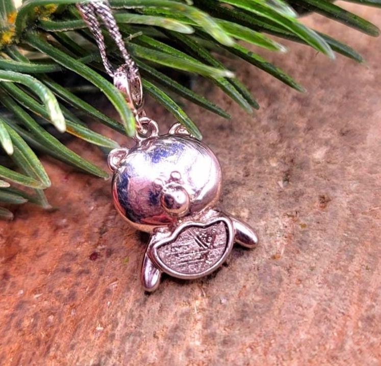 Genuine Nature Gibeon Meteorite Pig Carries Gold 925 Pendant Necklace