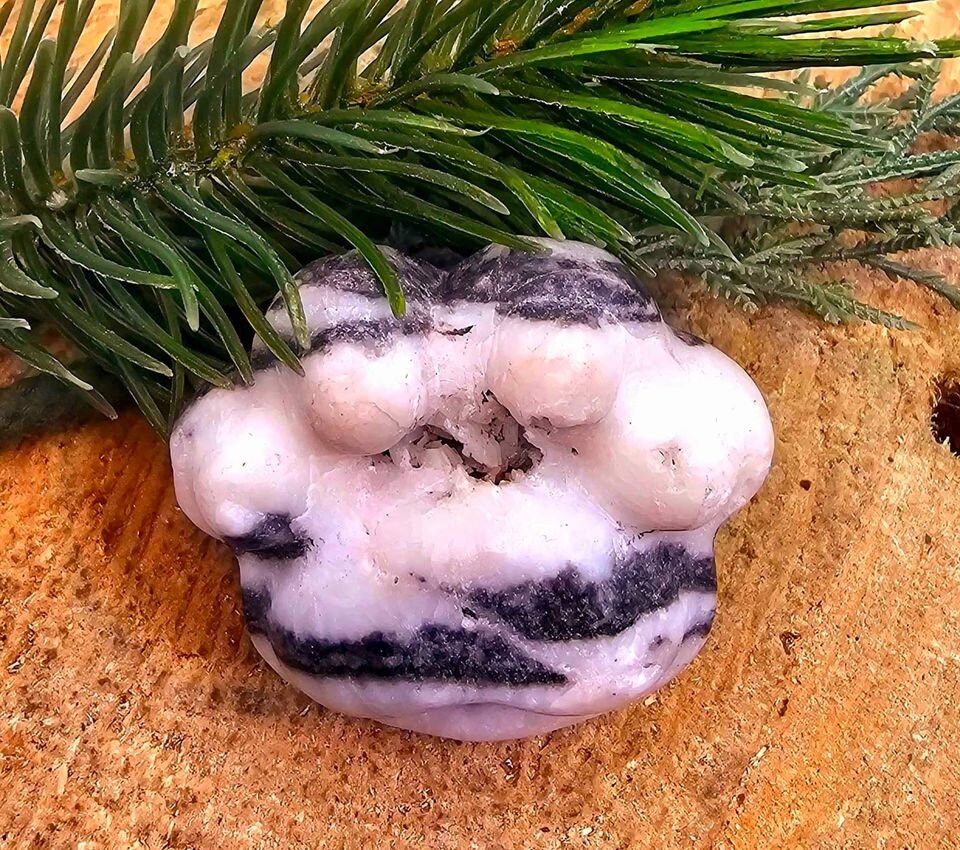 Unique Nature Zebra Stone Druzy Hand Carved Big Paw Decor Palm Stone