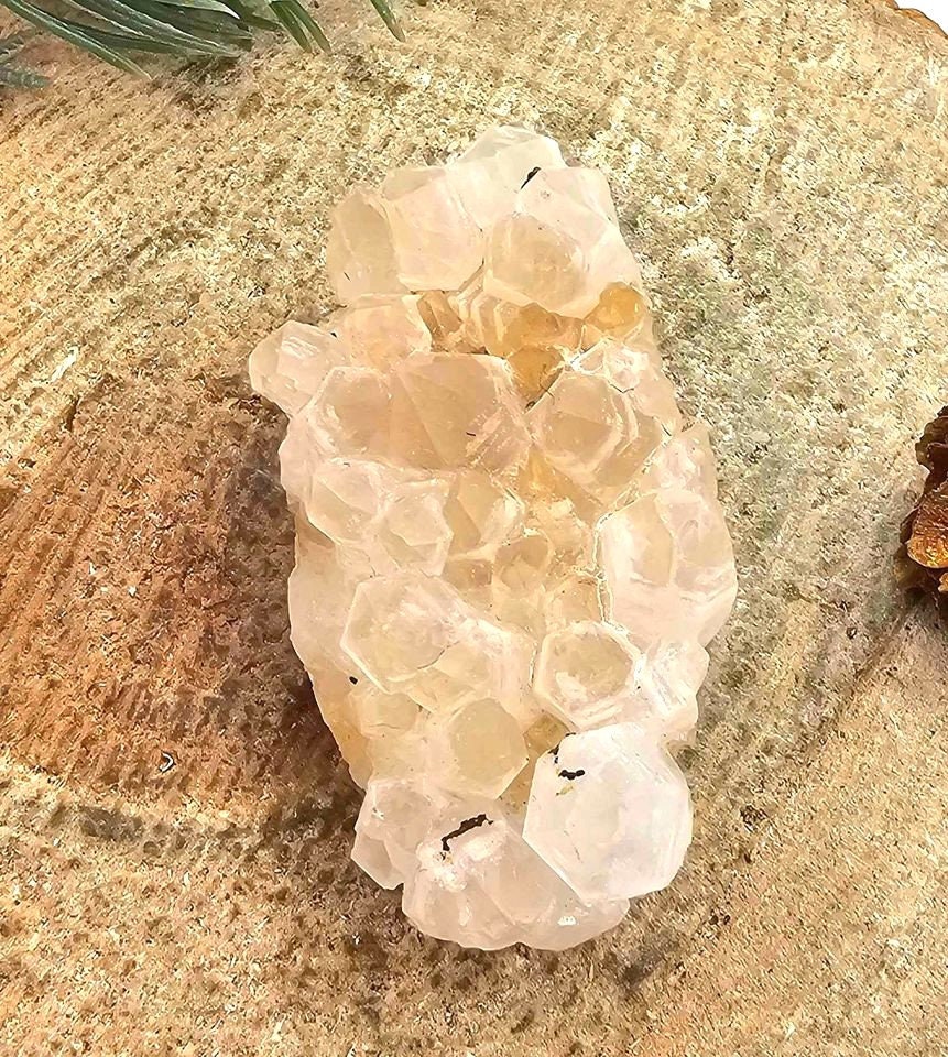 Cute Nature Cluster Hand Carved 2.3" Hedgehog Figure