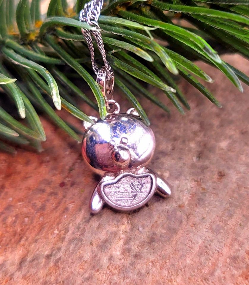 Genuine Nature Gibeon Meteorite Pig Carries Gold 925 Pendant Necklace