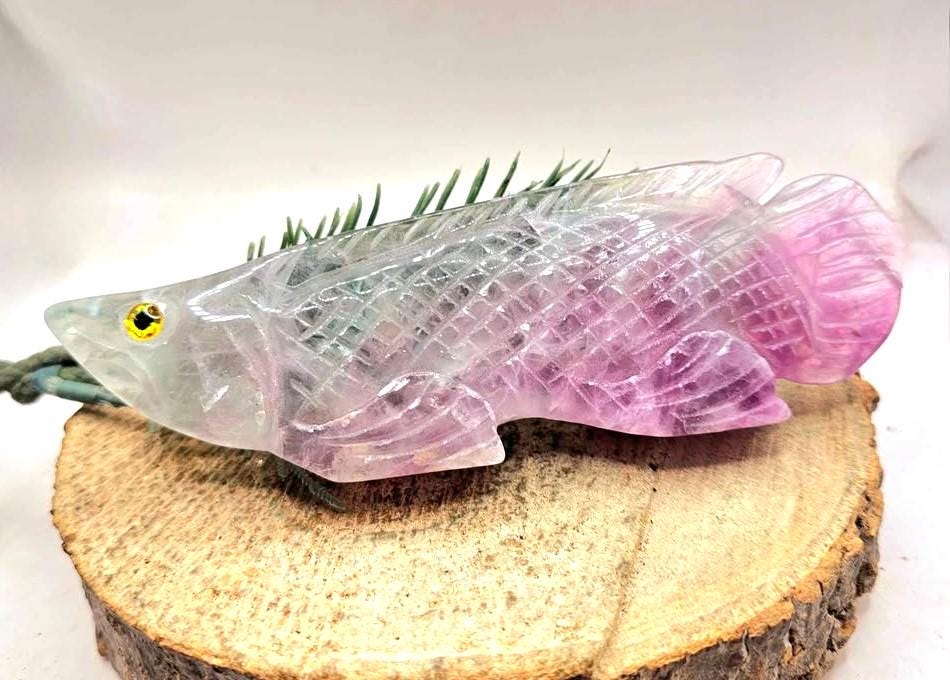 Rare Nature Fluorite Hand Carved 5.5" Fish Figure