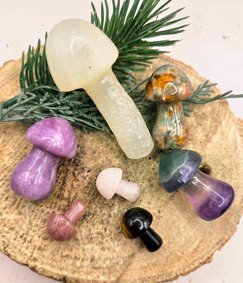 Assorted 7pcs Nature Crystal Stone Mushroom