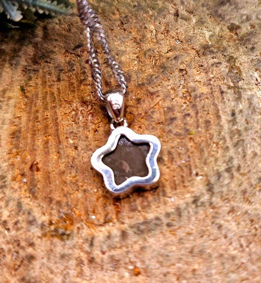 Premium Grade Nature Canadian Ammolite 925 Star Pendant Necklace