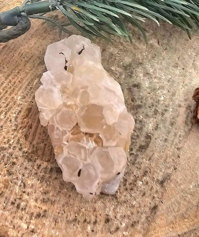 Cute Nature Cluster Hand Carved 2.3" Hedgehog Figure