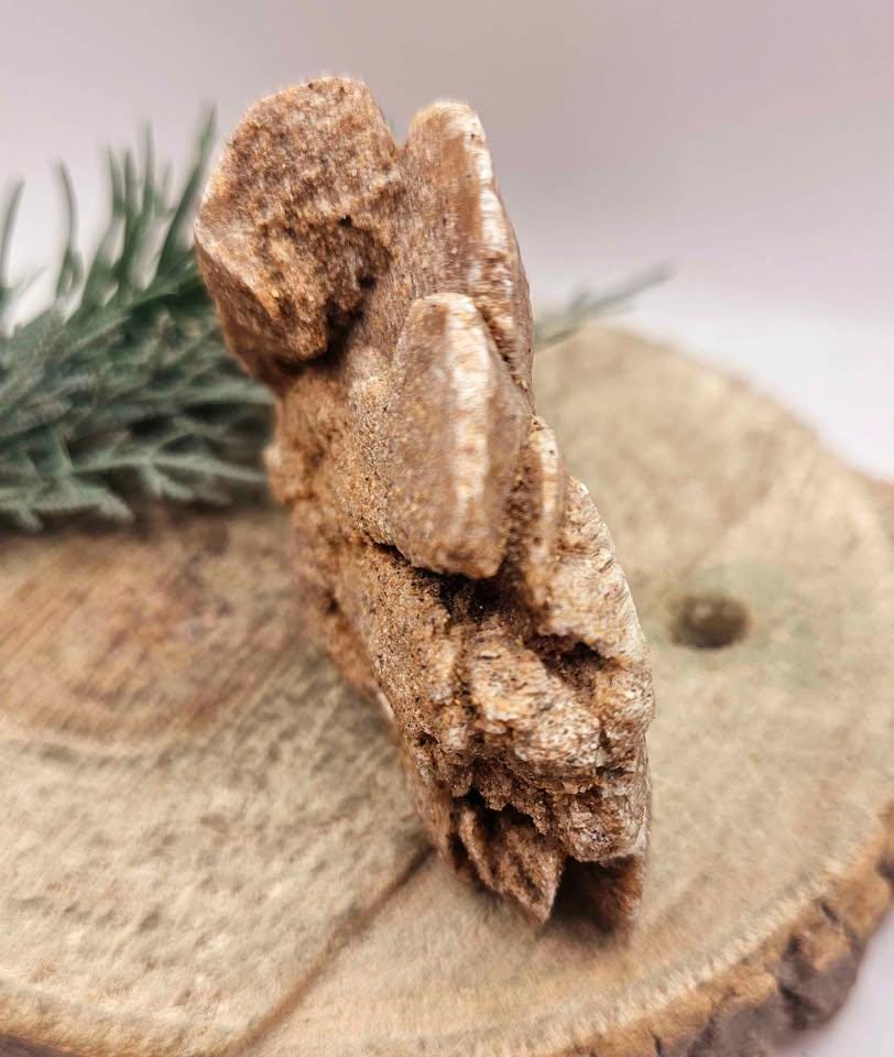 Rare Nature Desert Rose Hand Carved Fish Decor Figure