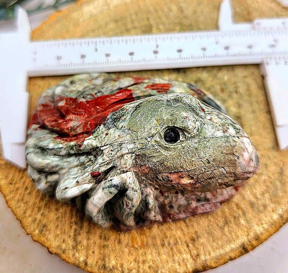 Nature Blood Stone Hand Carved 3.5" Big Octopus Figure