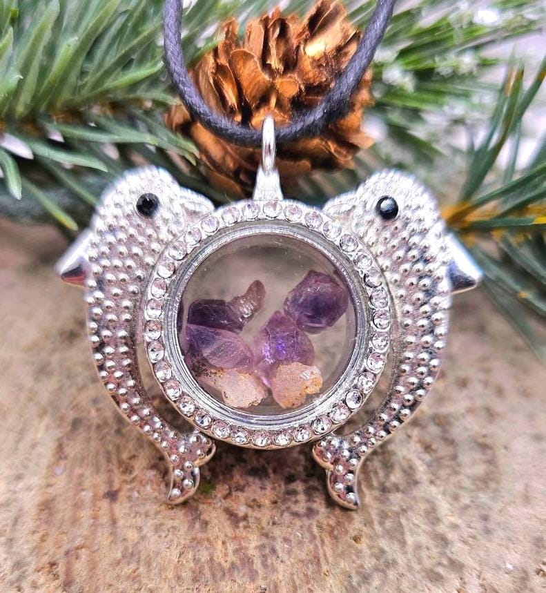 Dolphins Super Seven Raw Stone Floating Locket Necklace