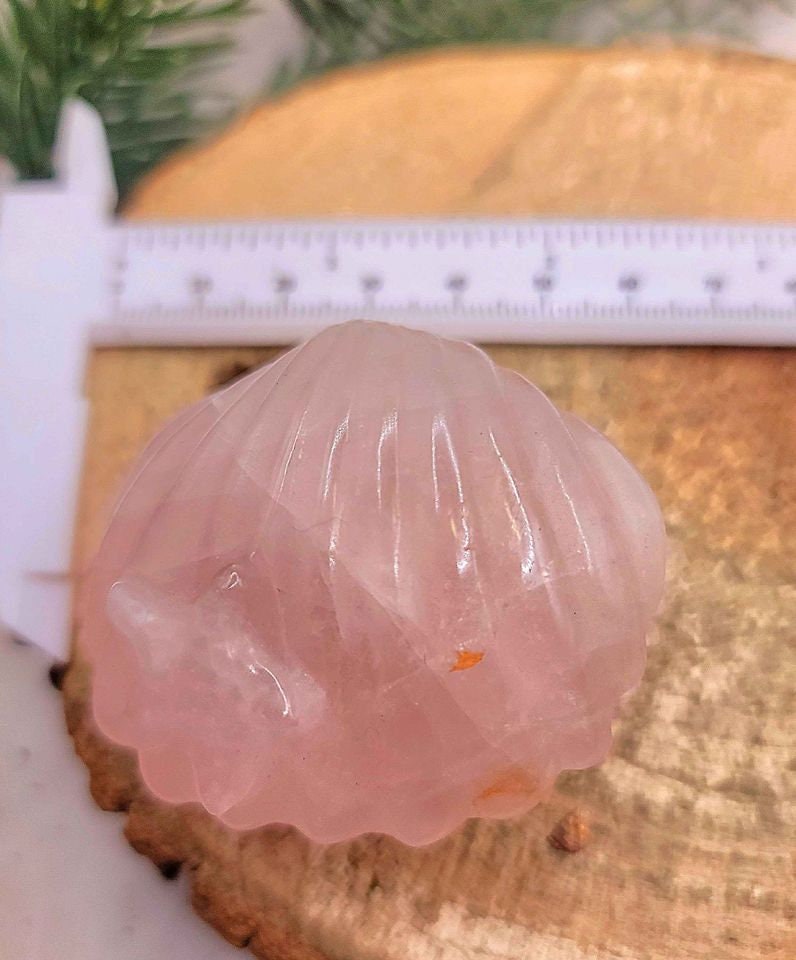 Nature Stone Hand Carved Big Seashell With Stars Figure