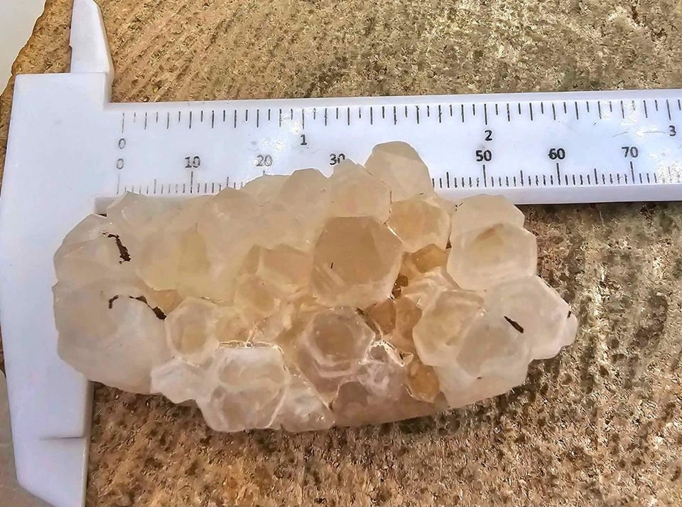 Cute Nature Cluster Hand Carved 2.3" Hedgehog Figure