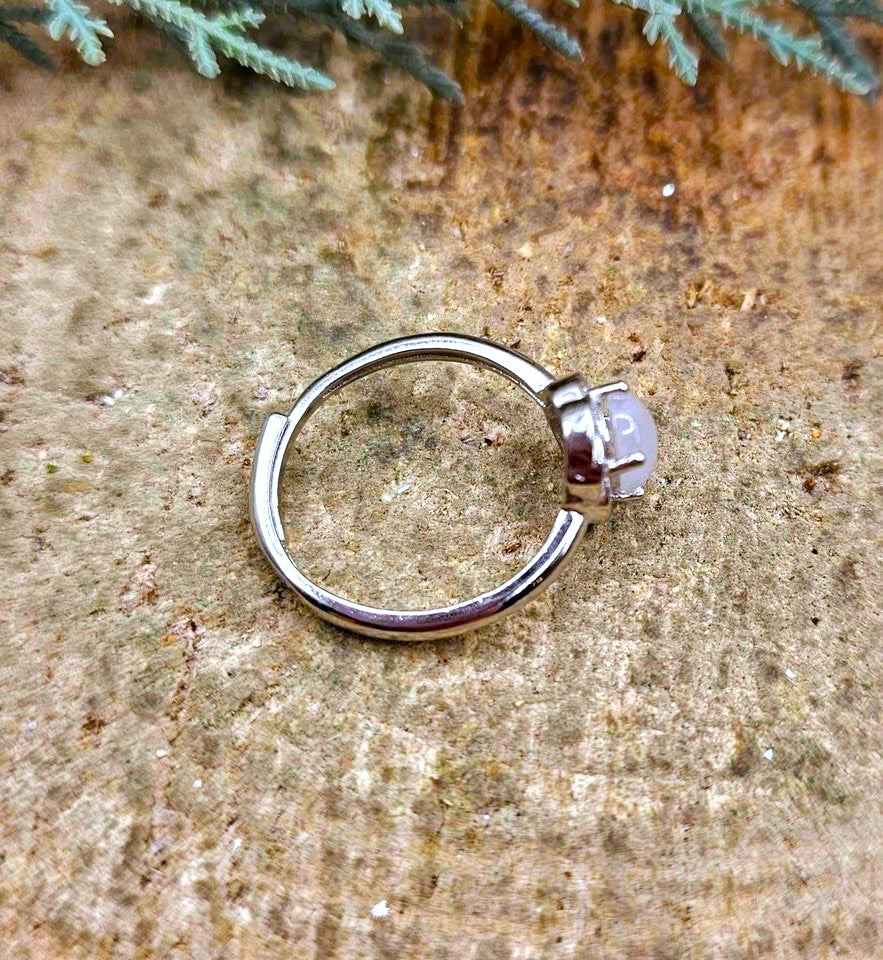 A silver-toned metal huggie ring with a small, clear faceted gemstone in a prong setting, resting on a textured brown stone surface with green foliage at the top edge.