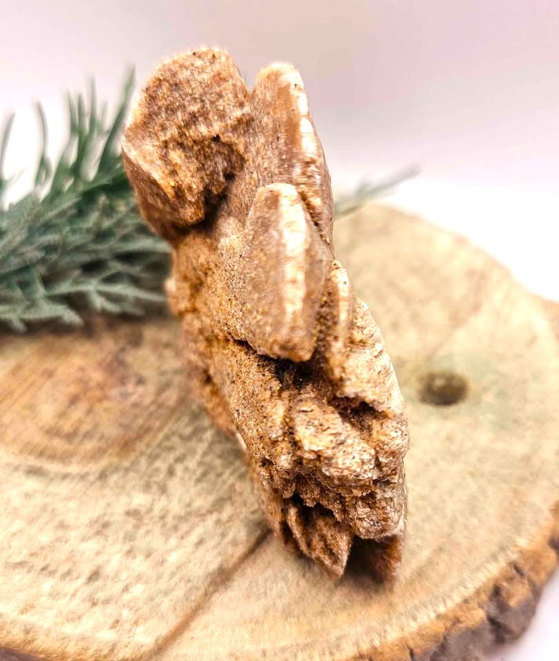 Nature Desert Rose Hand Carved Fish Decor Figure