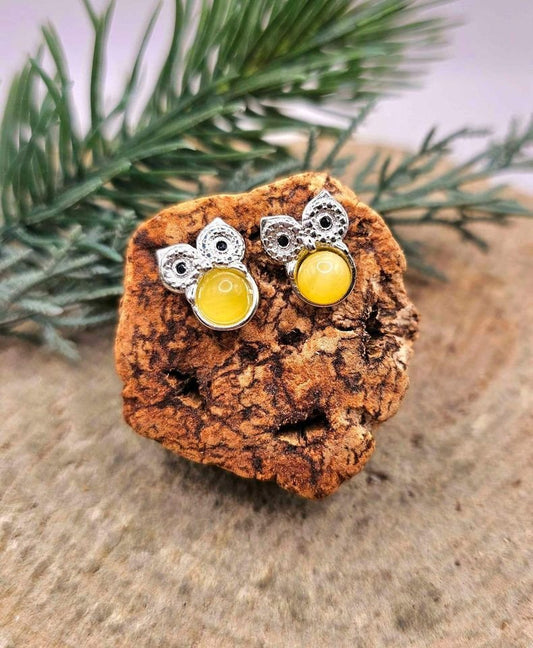 Collection Of Beautiful Nature Stone 925 Earstud