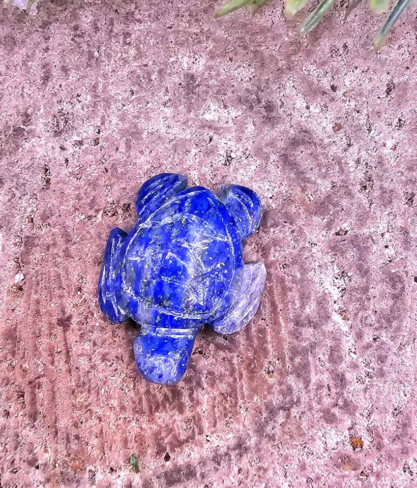 Nature Crystal Stone Carved Sea Seal & Turtle Figures