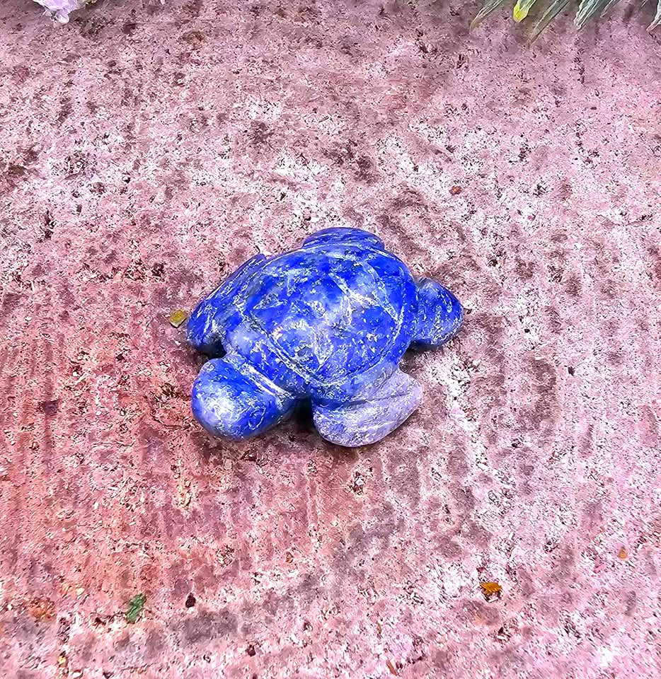 Nature Crystal Stone Carved Sea Seal & Turtle Figures