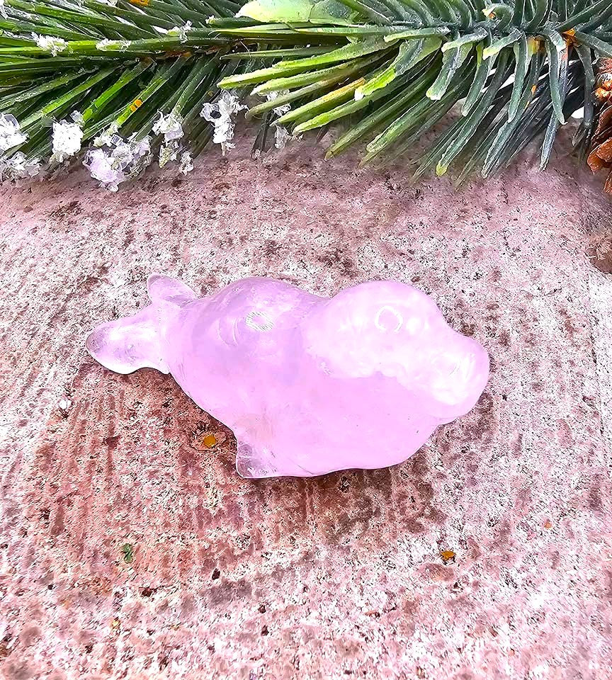 Nature Crystal Stone Carved Sea Seal & Turtle Figures