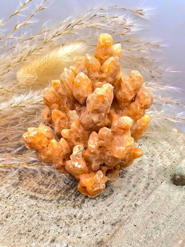 Nature Stalactite Calcite Cluster With Amethyst Fish Decor