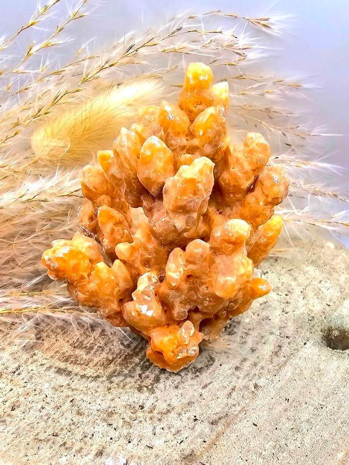 Natural Stalactite Calcite Cluster With Amethyst Fish Decor