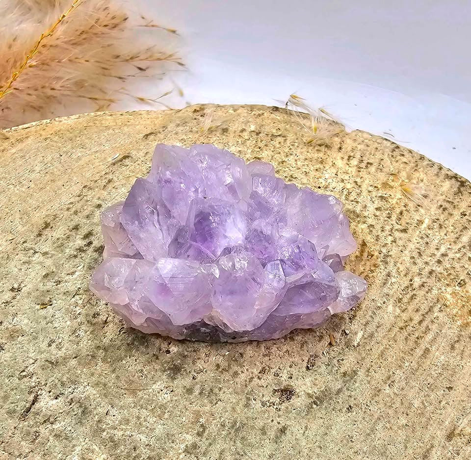 Nature Dream Amethyst Rabbit Figure & Amethyst Cluster