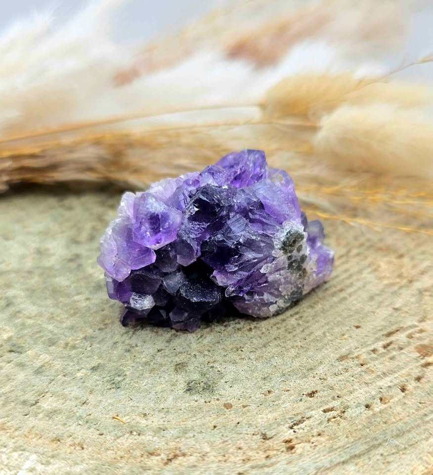 Nature Orange Calcite Bear &amp; Amethyst Cave Decor Figure.