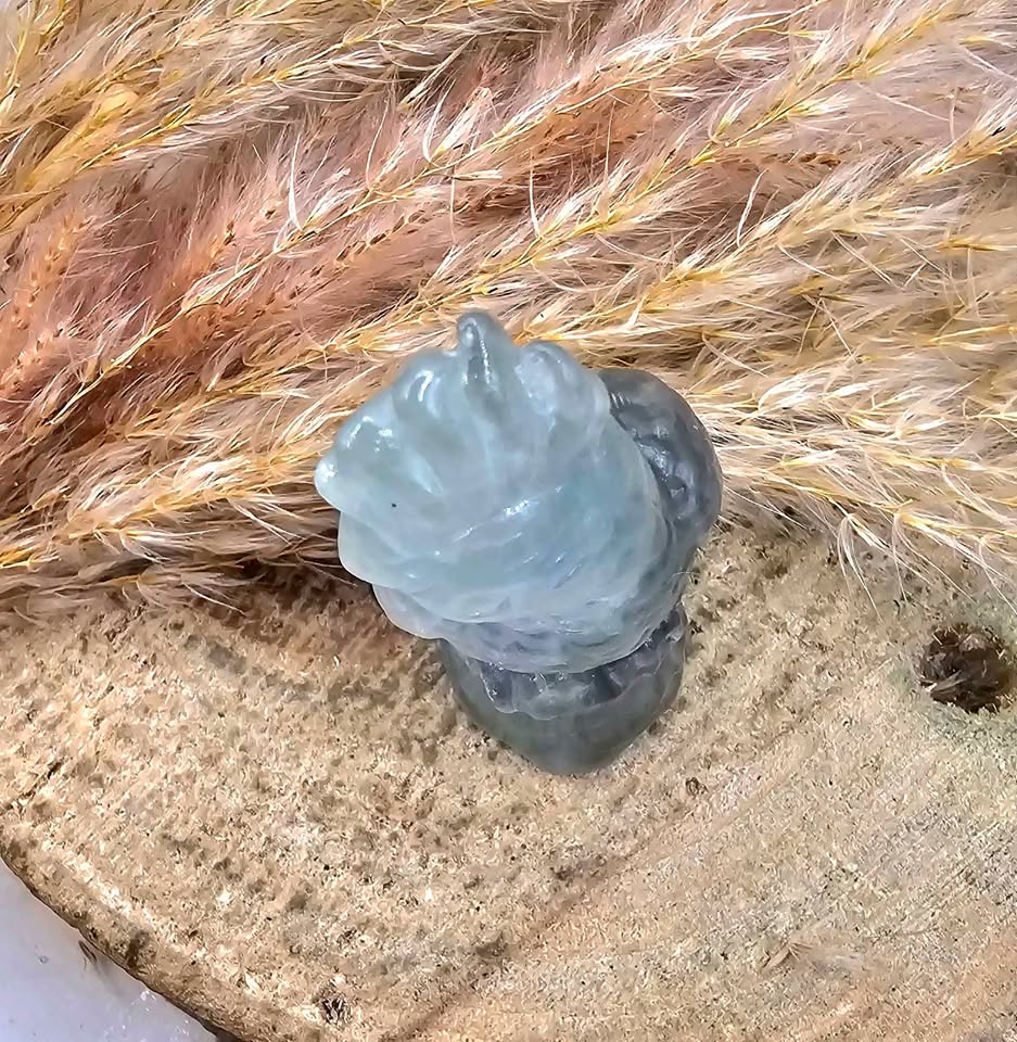 Nature Fluorite Hand Carved Parrot 2.5" Figure