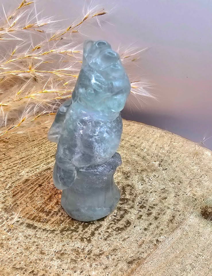 Nature Fluorite Hand Carved Parrot 2.5" Figure