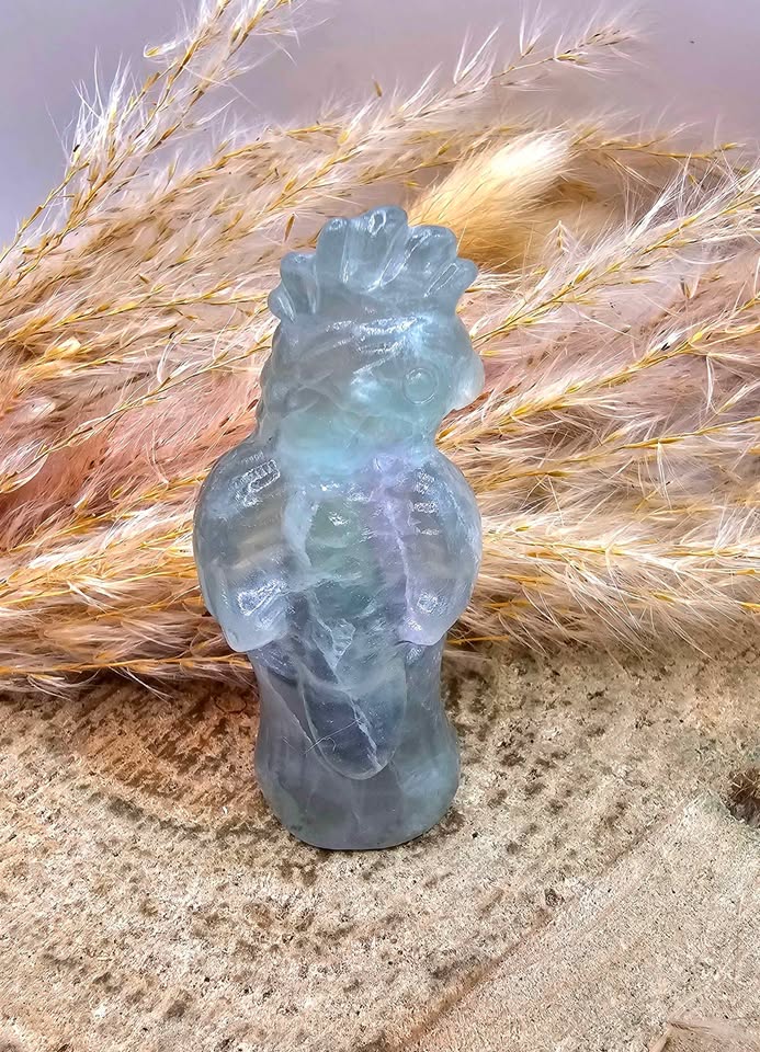 Nature Fluorite Hand Carved Parrot 2.5" Figure
