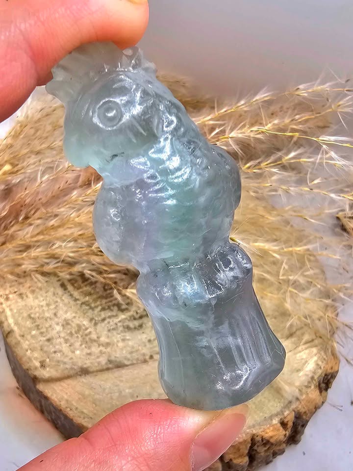 Nature Fluorite Hand Carved Parrot 2.5" Figure