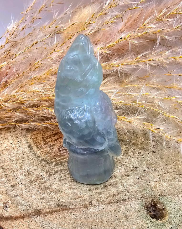 Nature Fluorite Hand Carved Parrot 2.5" Figure