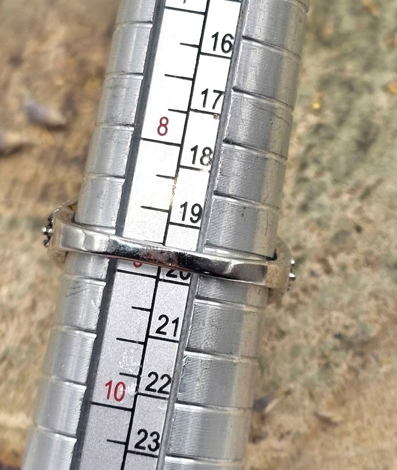 Beautiful Blue Sapphire Floral Pattern S925 Ring ( Size 9)