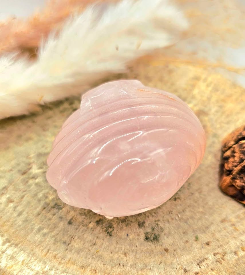 Nature Rose Quartz Hand Carved 2"Big Sea Shell Decor Figure