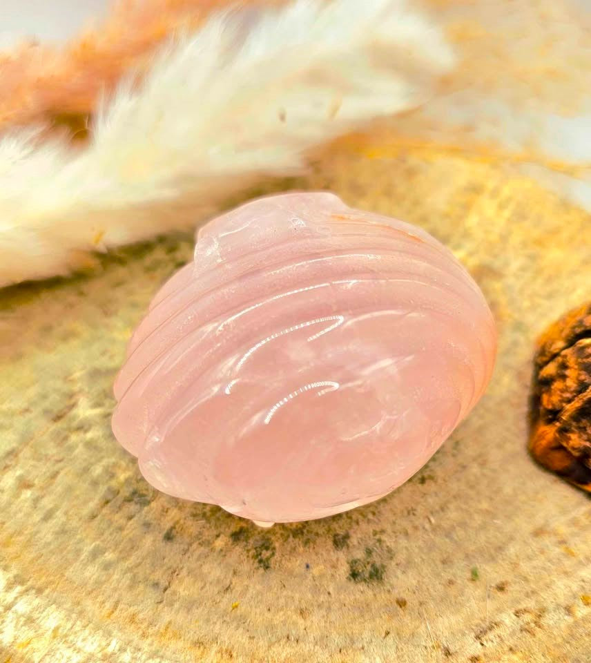 Natural rose quartz hand-carved 2 inch big sea shell crystal decor figure — My Aura Gemstones
