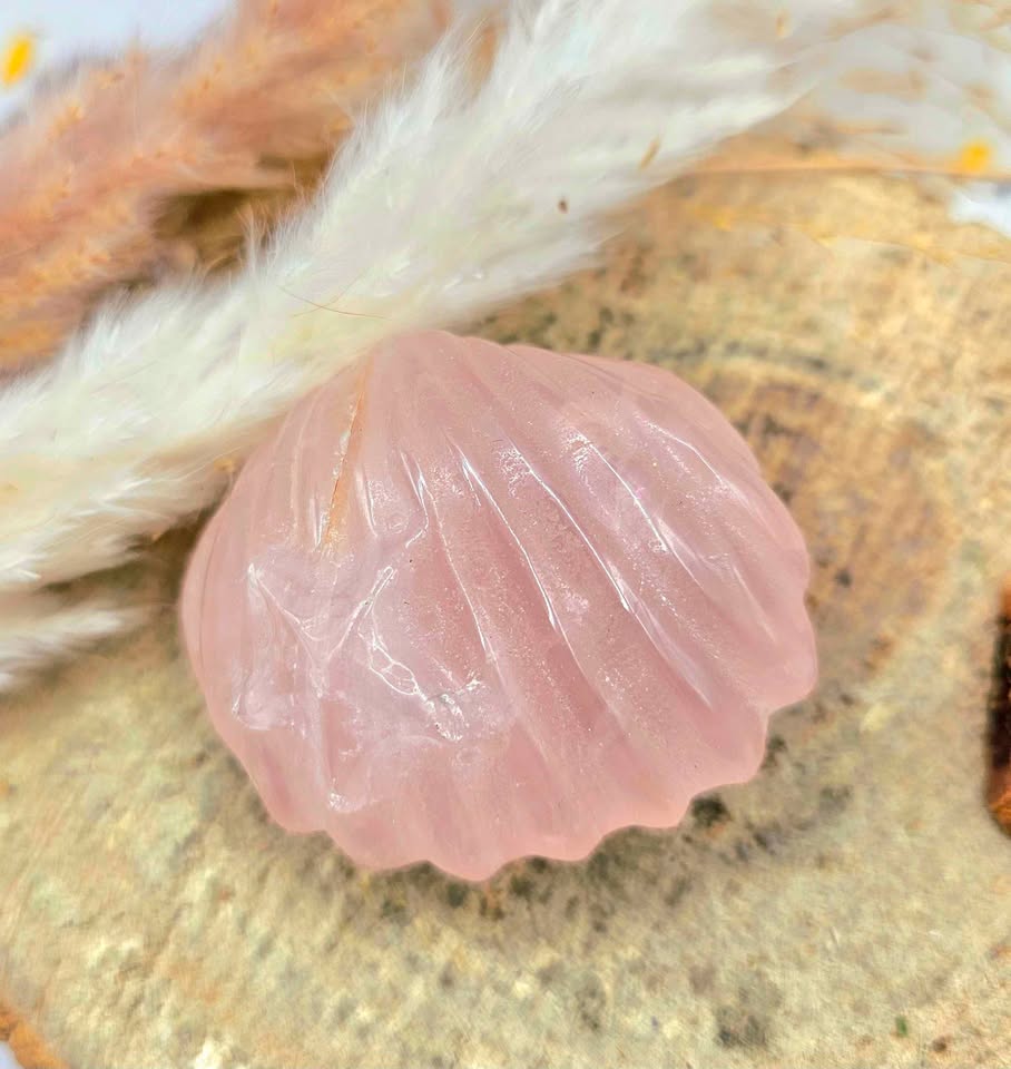 Nature Rose Quartz Hand Carved 2"Big Sea Shell Decor Figure