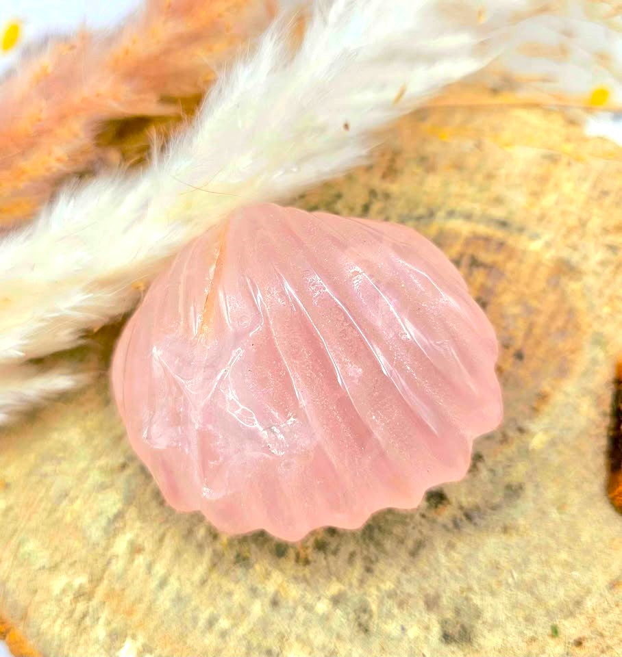 Natural rose quartz hand-carved 2 inch big sea shell crystal decor figure — My Aura Gemstones