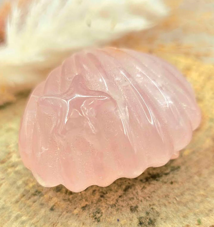 Nature Rose Quartz Hand Carved 2"Big Sea Shell Decor Figure